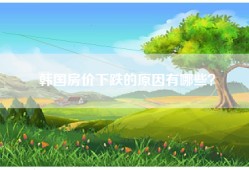 韩国房价下跌的原因有哪些？