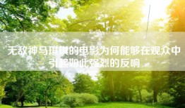 无敌神马琪琪的电影为何能够在观众中引起如此强烈的反响