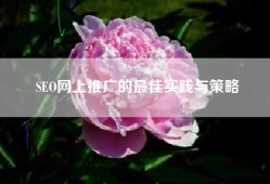 SEO网上推广的最佳实践与策略