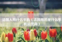 法国人用什么手机（法国用的是什么手机运营商）