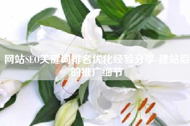 网站SEO关键词排名优化经验分享-建站后的推广细节