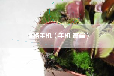 逼格手机（手机 高端）